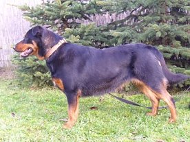 Bild: Lucy