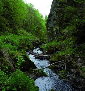Bild: Steinm&uuml;hlental