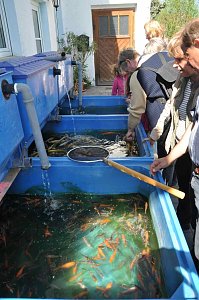 Fischfest in Auleben