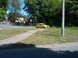 Ab durch's Gehege