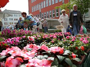 Blumen und mehr