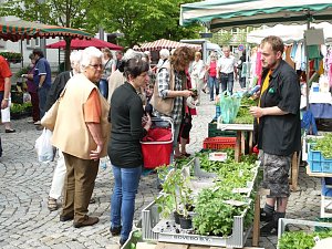 Blumen und mehr