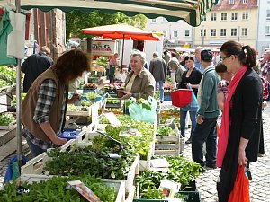 Blumen und mehr