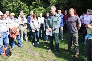 Unterwegs im Wald