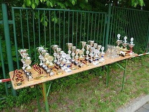 Slalom gefahren