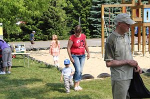 Buntes Treiben bei den Falken