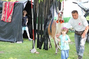 Buntes Treiben bei den Falken