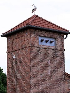 Zwischenlandung