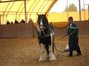 Wollersleben erobert