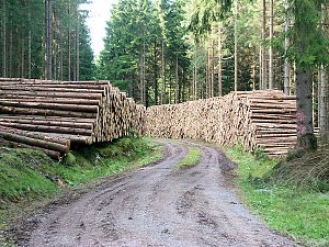 Bilder aus Sorge