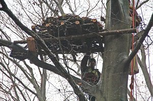 Kunsthorst f&uuml;r Storch