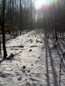 So sch&ouml;n kann Winter sein