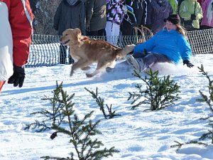 Skifasching in Tanne