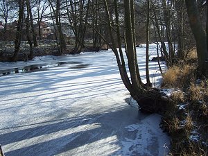 Eisige Sch&ouml;nheiten an der Zorge