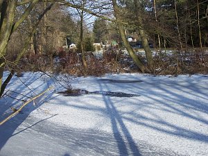 Eisige Sch&ouml;nheiten an der Zorge