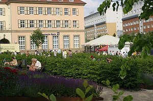Rolandsfest 2003