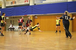 Leidenschaft und Einsatz