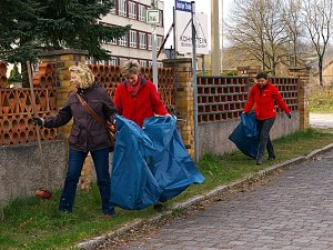 Saubere Stunde in Harztor