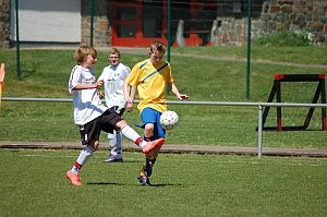 In Walkenried gut geschlagen