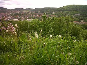 Unterwegs in Bad Kissingen