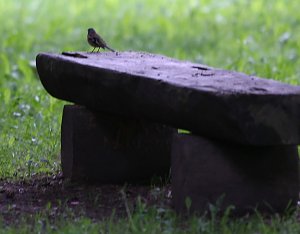 Abends im Stadtpark