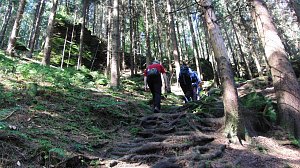 100 Kilometer S&auml;chsische Schweiz