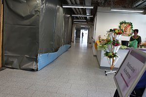 Baustelle: Eingangsbereich