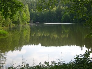 Immer an der Selke entlang