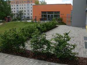 Kinderhaus Nordhausen-Ost