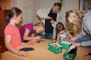 Fledermausnacht in Bleicherode