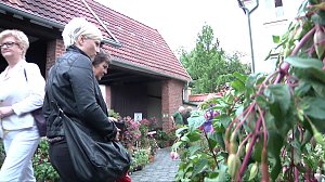 Fuchsien in der Traditionsbrennerei