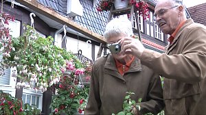 Fuchsien in der Traditionsbrennerei
