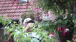 Fuchsien in der Traditionsbrennerei