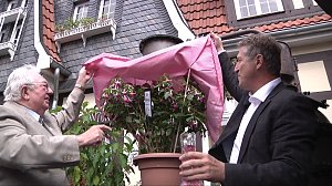 Fuchsien in der Traditionsbrennerei