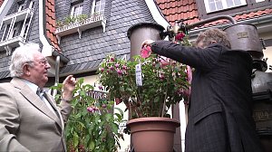 Fuchsien in der Traditionsbrennerei
