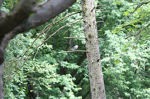 Sonntags im Park