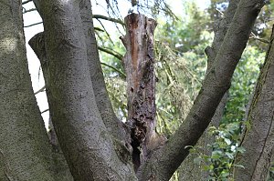 Sonntags im Park