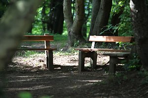 Sonntags im Park