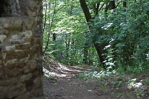 Sonntags im Park