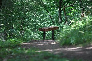 Sonntags im Park