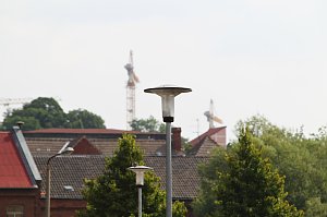 Unterwegs: Hoch oben die Krane