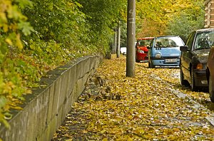 Herbst