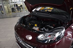 Gro&szlig;es Angrillen bei Opel Autohaus Peter