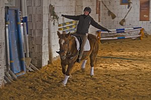 Reiten als Therapie