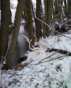 Ölschlängel im Einsatz
