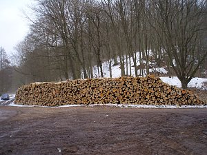 Unter der Leitung des zust&auml;ndigen Revierleiters, Michael Wei&szlig;leder, sind durch den Bestands-aufschluss 220 Festmeter Laubindustrieholz angefallen. Der Hieb erfolgte pfleglich.