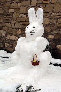Schneehase in Mackenrode
