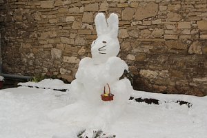 Schneehase in Mackenrode