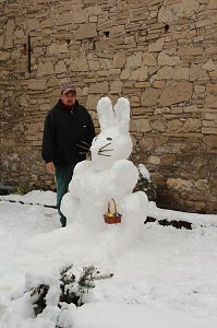 Schneehase in Mackenrode