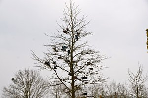 Ostern auf den Petersberg